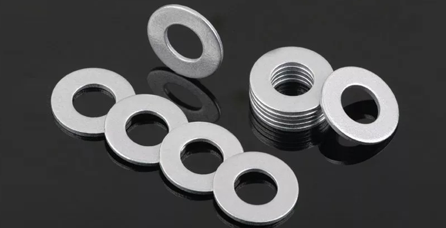 Stainless Steel 310 Washers